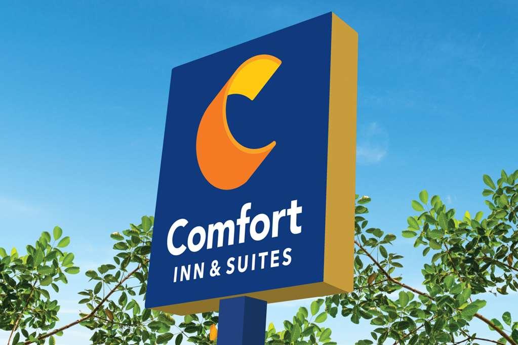 Comfort Inn & Suites Carrollton Zewnętrze zdjęcie